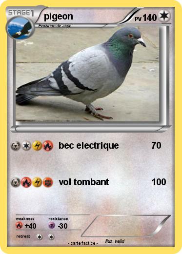 Pokemon pigeon
