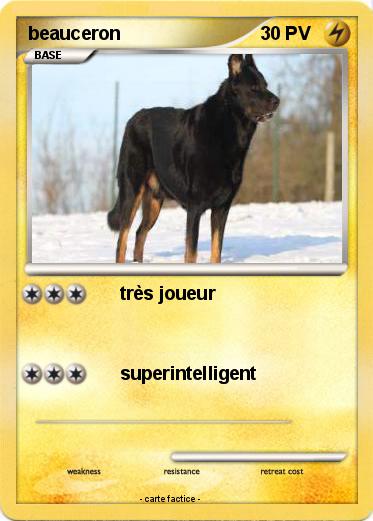 Pokemon beauceron