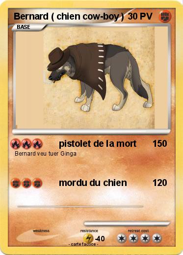 Pokemon Bernard ( chien cow-boy )