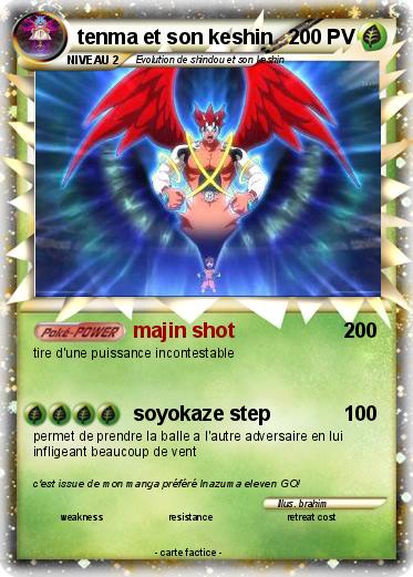 Pokemon tenma et son keshin