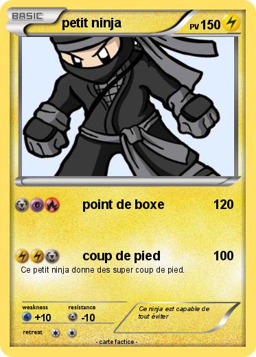 Pokemon petit ninja
