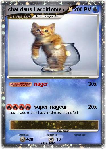 Pokemon chat dans l acoiriome