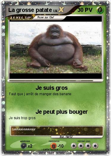Pokemon La grosse patate