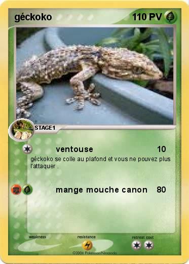 Pokemon géckoko