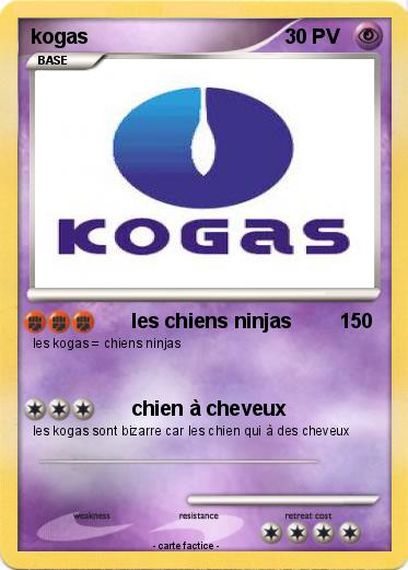 Pokemon kogas