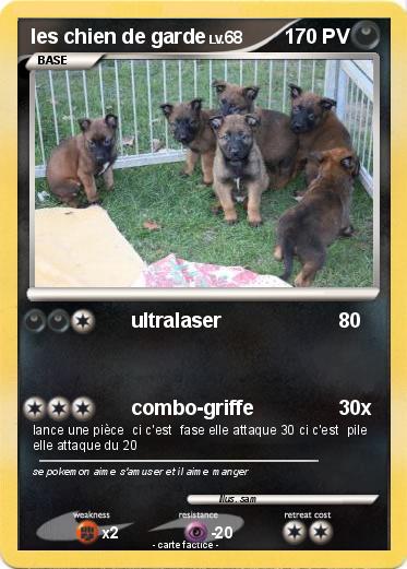 Pokemon les chien de garde