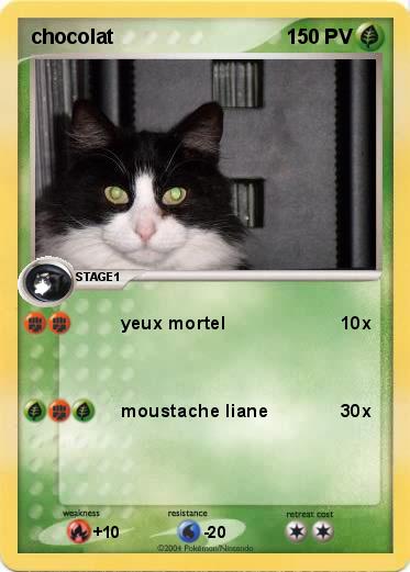 Pokemon chocolat