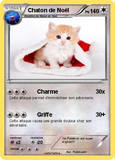 Pokemon Chaton de Noël