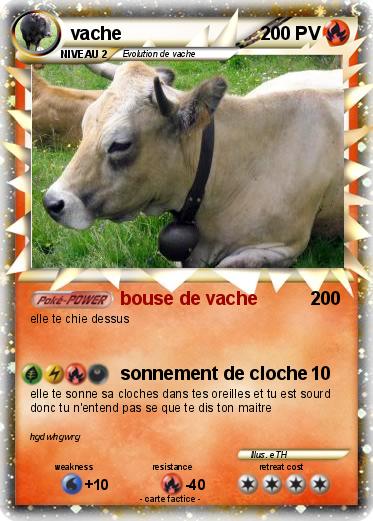 Pokemon vache