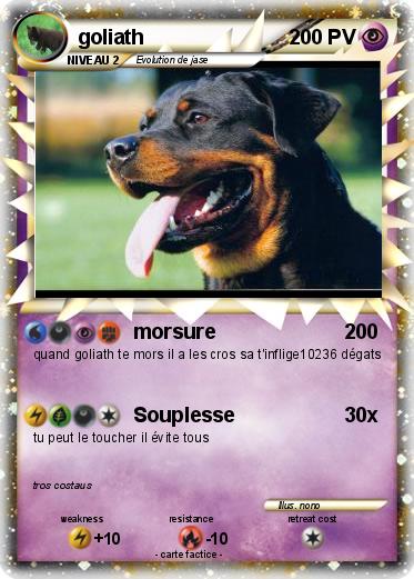 Pokemon goliath