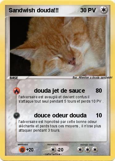 Pokemon Sandwish douda!!!