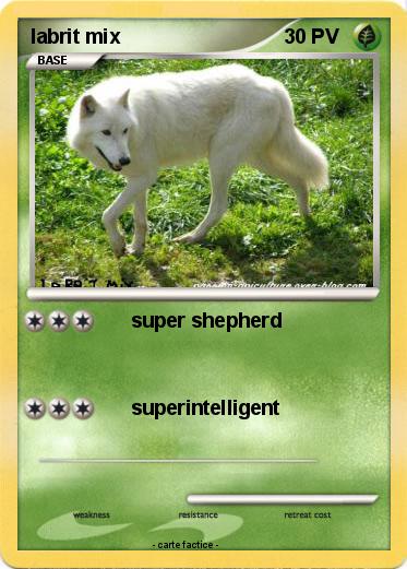 Pokemon labrit mix