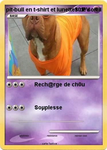 Pokemon pit-bull en t-shirt et lunettes de soleil