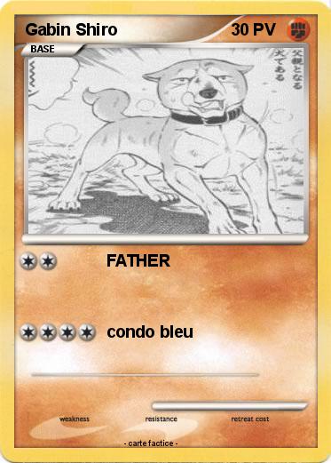 Pokemon Gabin Shiro