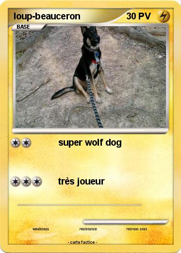 Pokemon loup-beauceron