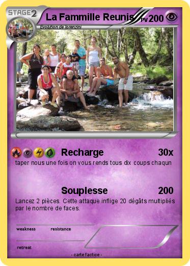 Pokemon La Fammille Reunis