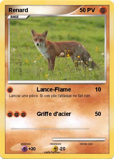 Pokemon Renard