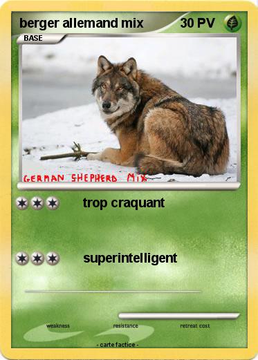 Pokemon berger allemand mix