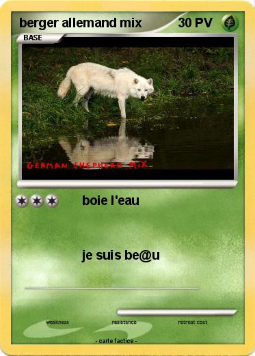 Pokemon berger allemand mix