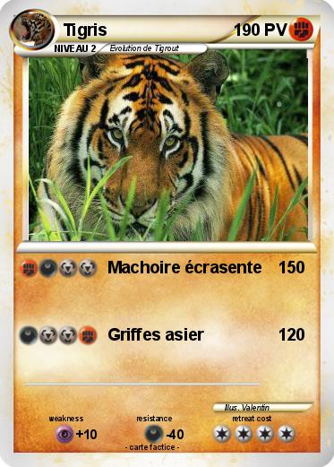 Pokemon Tigris