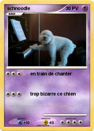 Pokemon schnoodle