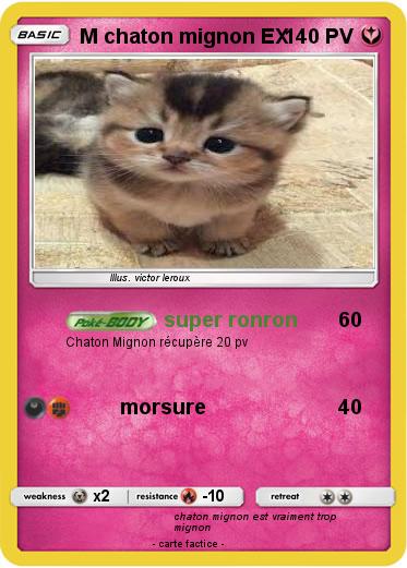 Pokemon M chaton mignon EX