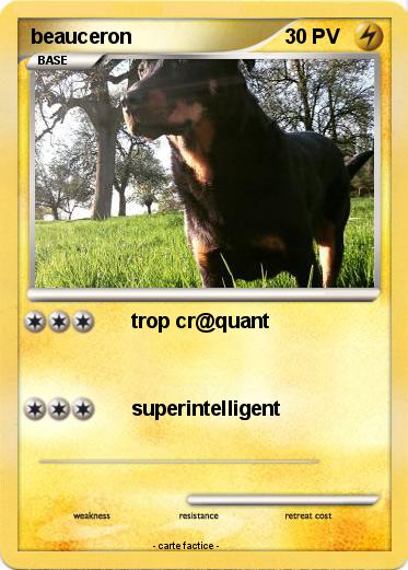 Pokemon beauceron