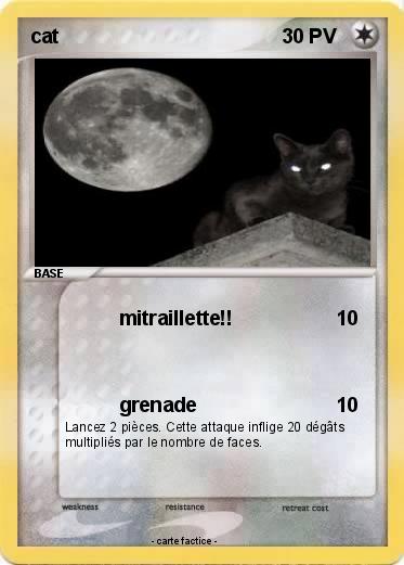 Pokemon cat