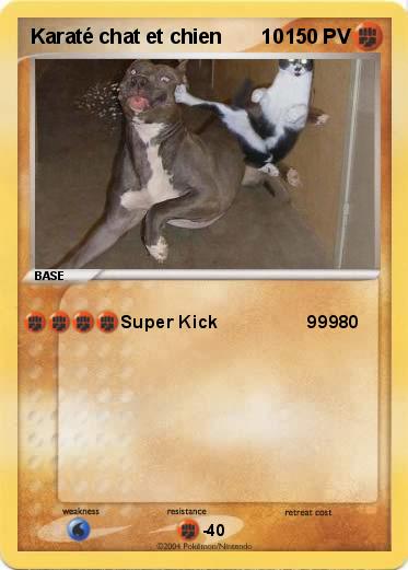 Pokemon Karaté chat et chien       10