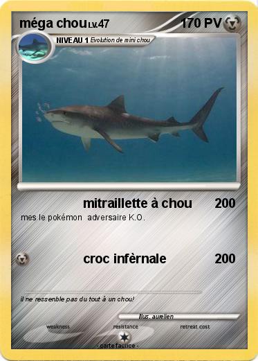 Pokemon méga chou