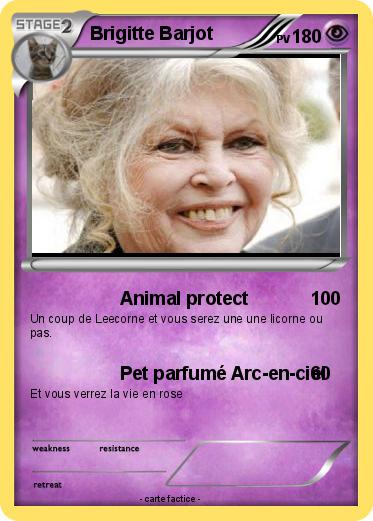 Pokemon Brigitte Barjot