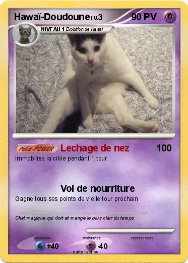 Pokemon Hawaï-Doudoune