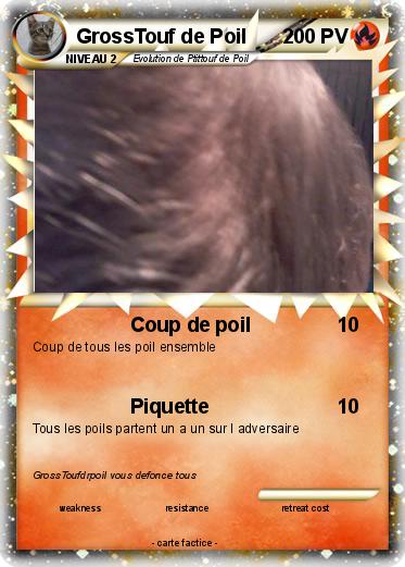Pokemon GrossTouf de Poil