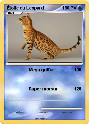 Pokemon Étoile du Leopard
