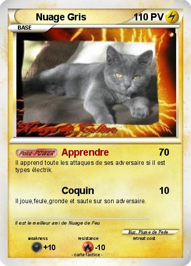 Pokemon Nuage Gris