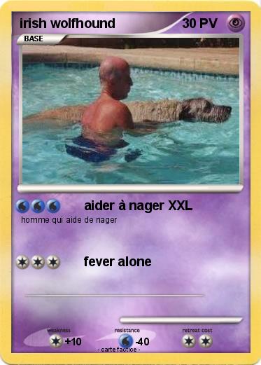 Pokemon irish wolfhound