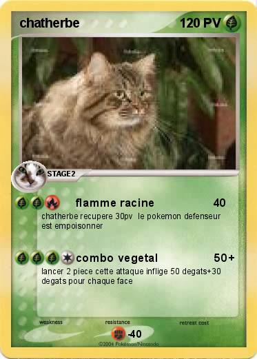 Pokemon chatherbe