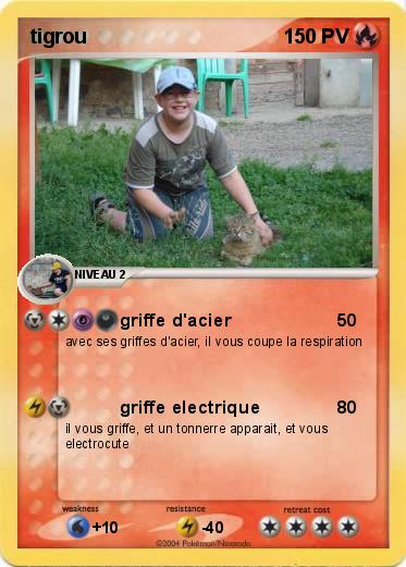 Pokemon tigrou