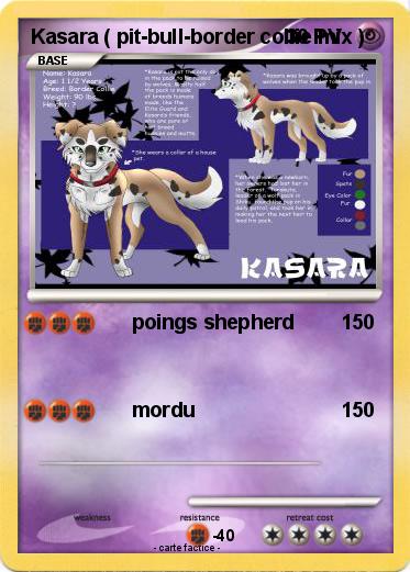 Pokemon Kasara ( pit-bull-border collie mix )
