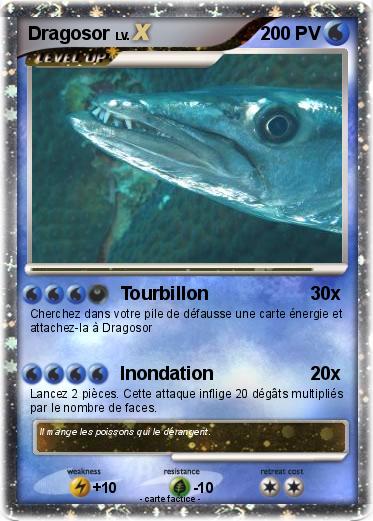 Pokemon Dragosor