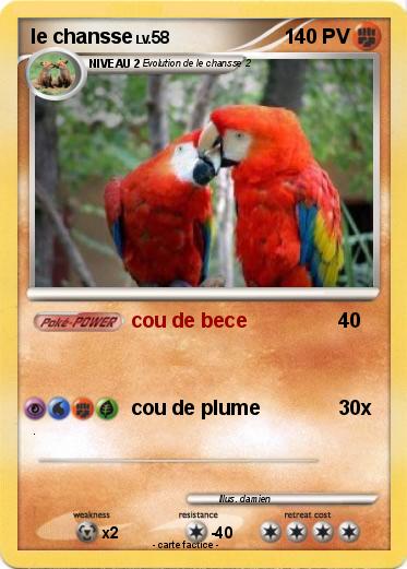 Pokemon le chansse
