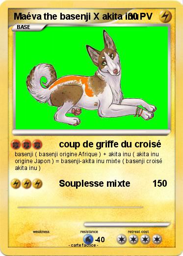 Pokemon Maéva the basenji X akita inu