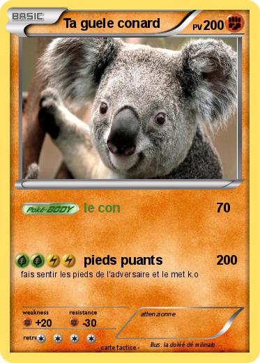 Pokemon Ta guele conard