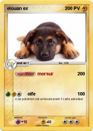 Pokemon elouan ex
