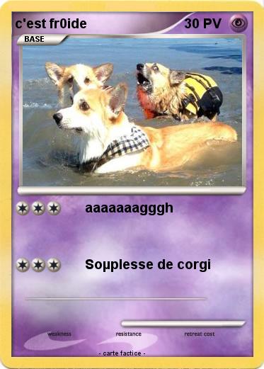 Pokemon c'est fr0ide