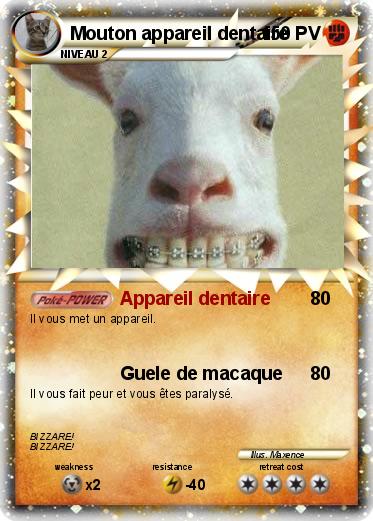 Pokemon Mouton appareil dentaire