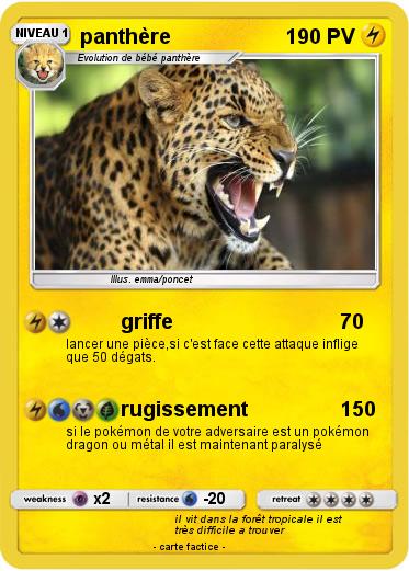 Pokemon panthère