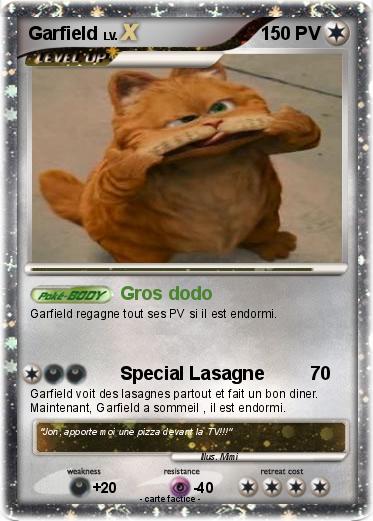 Pokemon Garfield