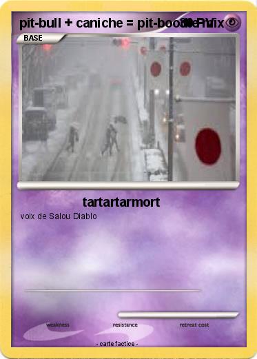 Pokemon pit-bull + caniche = pit-boodle mix