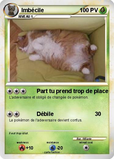 Pokemon Imbécile